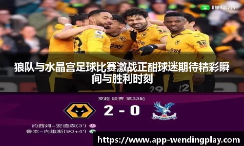 狼队与水晶宫足球比赛激战正酣球迷期待精彩瞬间与胜利时刻