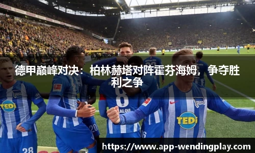 德甲巅峰对决：柏林赫塔对阵霍芬海姆，争夺胜利之争