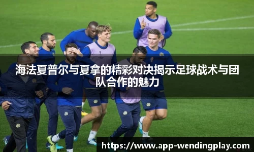 海法夏普尔与夏拿的精彩对决揭示足球战术与团队合作的魅力